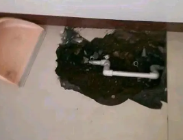 乐平卫生间测漏水多少钱